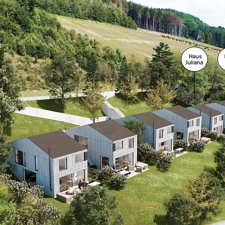 Sauerland Lodge - Haus X & Haus Juliana בית נופש